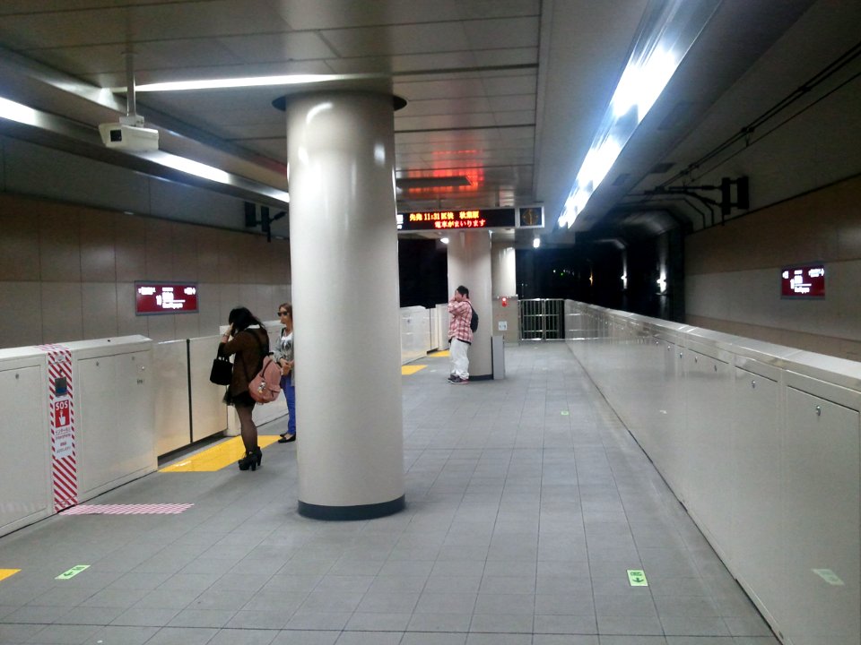 TX Minami-Nagareyama platform 20121007b
