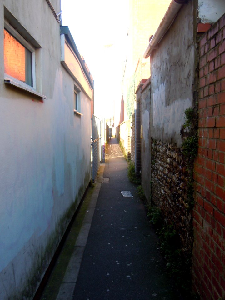 Twitten behind Boundary Road, Portslade (November 2015)