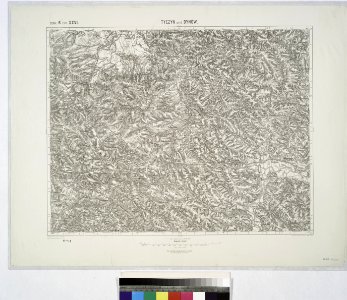 Tyczyn und Dynow. NYPL1226350