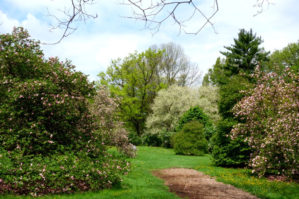 Tyler Arboretum - DSC01903