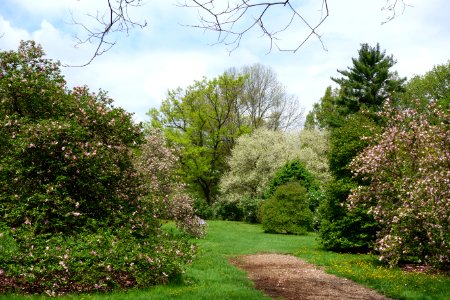 Tyler Arboretum - DSC01903