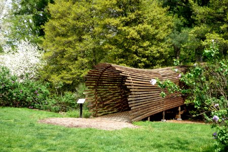 Tyler Arboretum - DSC01905