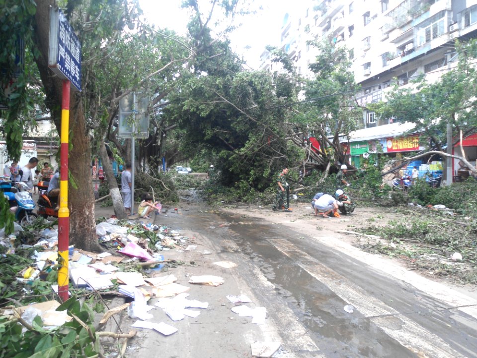 Typhoon Rammasun (2014) in Haikou - Yilong Road - 01