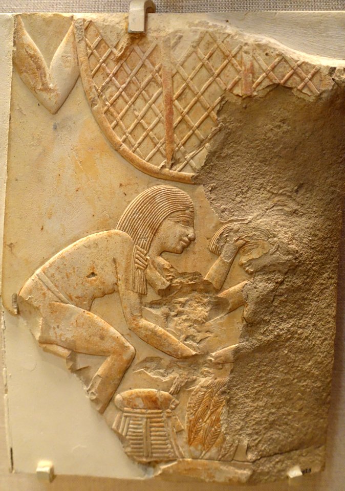 Two girls quarreling in a wheat field, Luxor, Tomb of Mentuemhet, Late Period, Dynasty 26, c. 664 BC, limestone, pigment - Oriental Institute Museum, University of Chicago - DSC07880