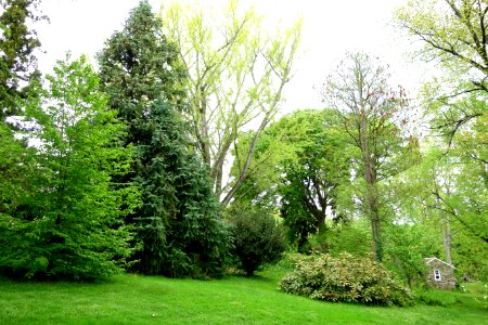 Tyler Arboretum - DSC01869