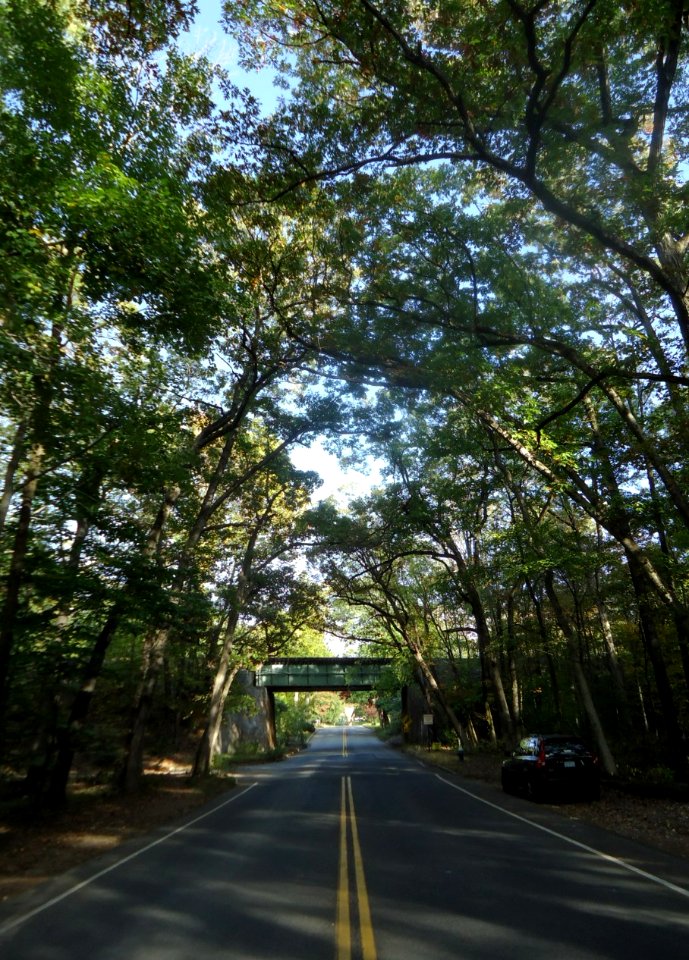 Two lane road with trees and train trestle underpass in Summit NJ