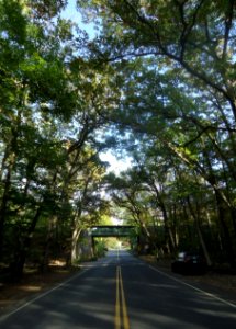 Two lane road with trees and train trestle underpass in Summit NJ