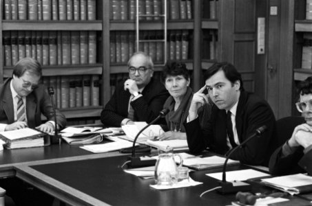 Tweede Kamer overleg Tamil-vluchtelingen Wijnands (top-ambtenaar BuZa), staat, Bestanddeelnr 933-5985