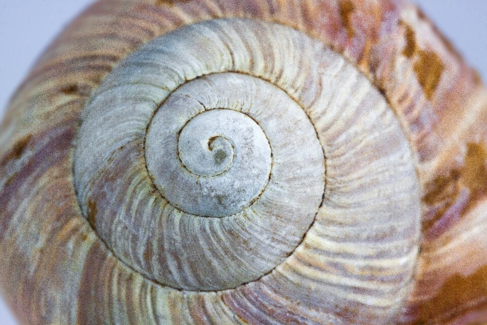 Nature spiral macro
