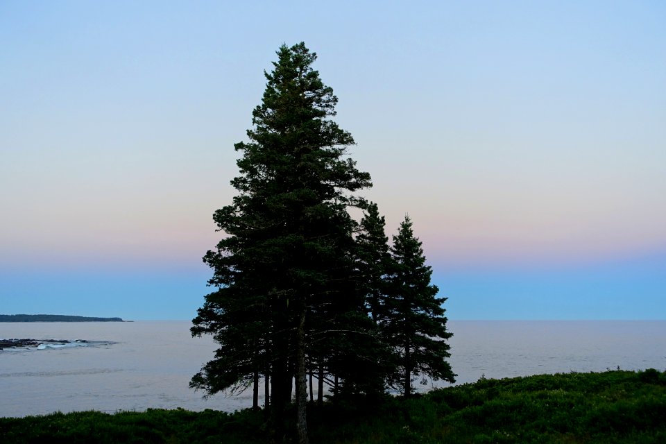 Twilight 2 - Great Cranberry Island, Maine - DSC03846