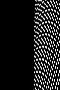 Two Halves (104458385)