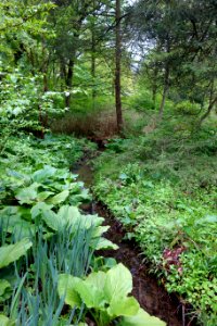 Tyler Arboretum - DSC01782