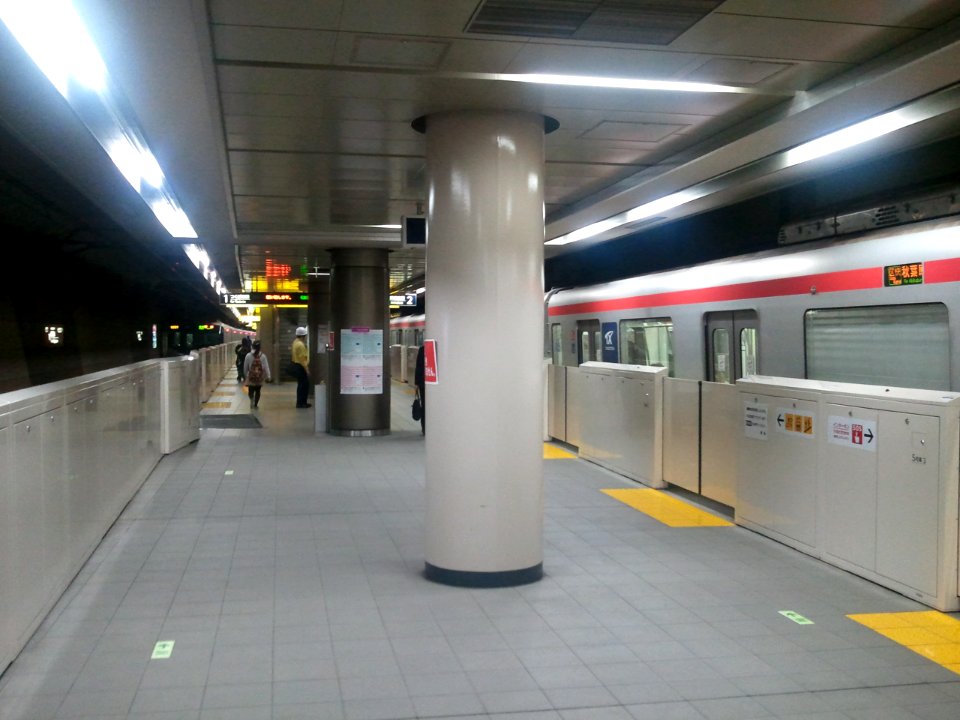 TX Minami-Nagareyama platform 20121007a