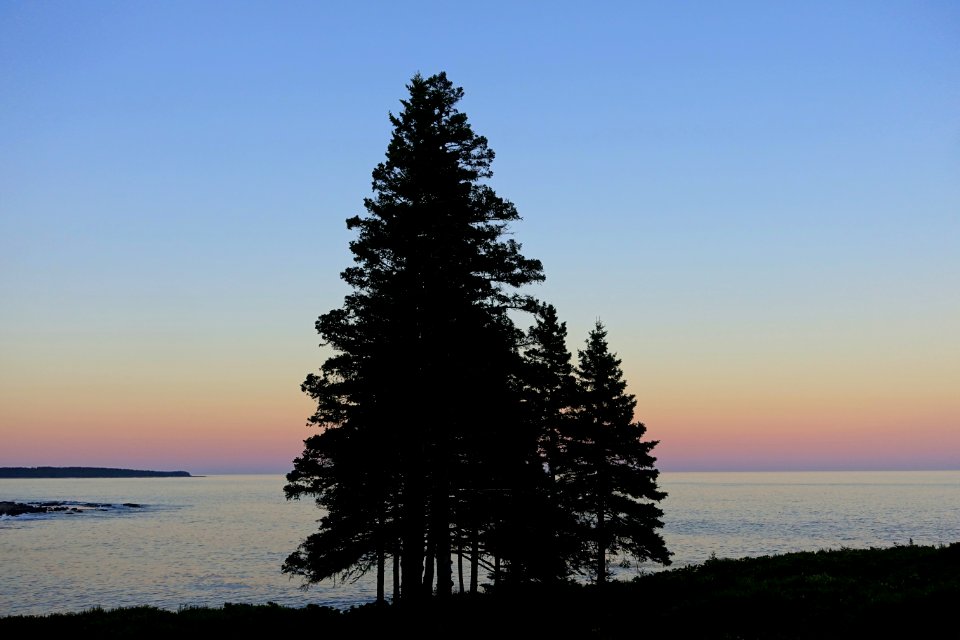 Twilight 1 - Great Cranberry Island, Maine - DSC03840