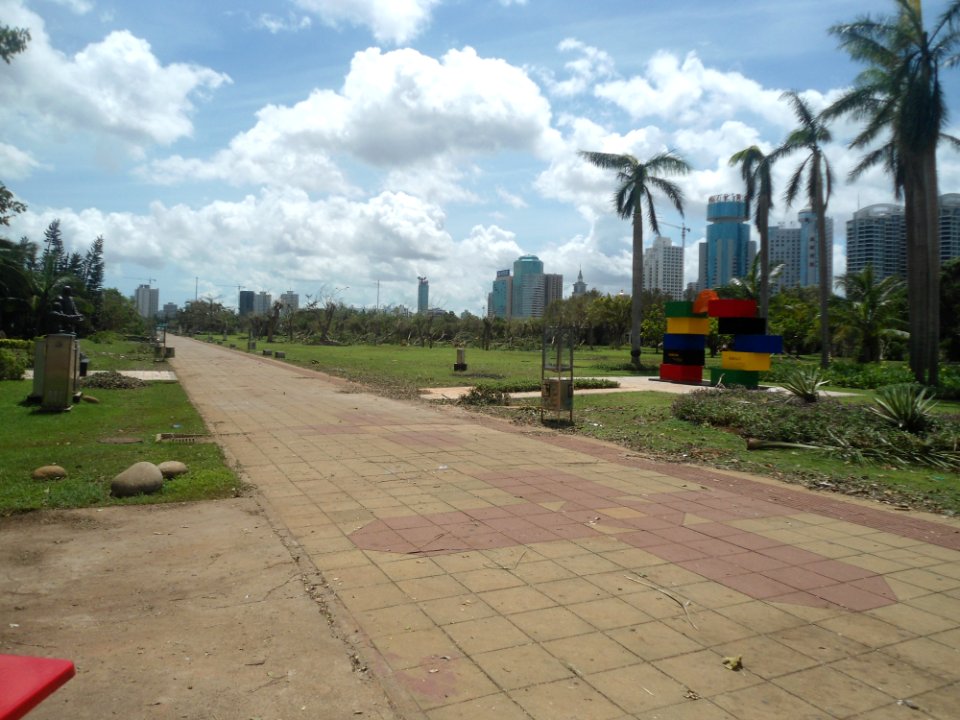 Typhoon Rammasun (2014) in Haikou - Evergreen Park - 02