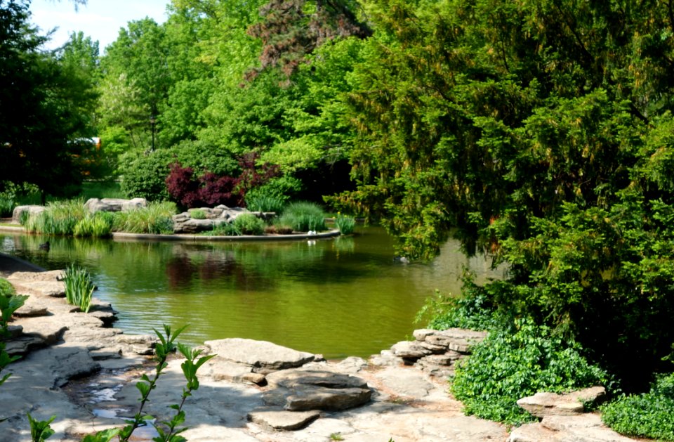 Twin Lakes - Eden Park, Cincinnati - DSC03894
