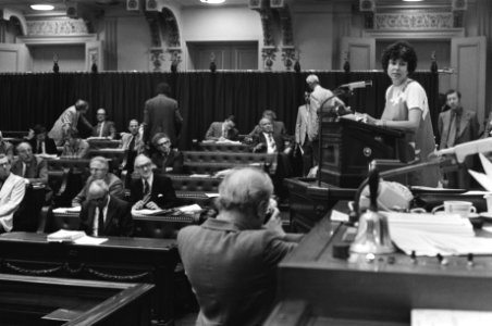 Tweede Kamer loonwet, stemmingen over deel loonwet, Nel Barendregt aan het woord, Bestanddeelnr 928-6455