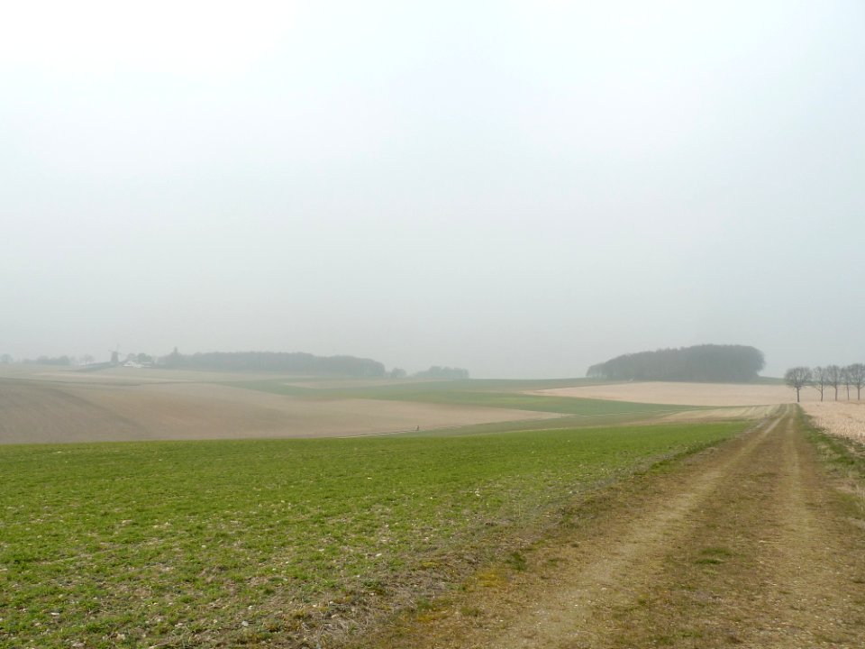 Ubachsberg-Vrouwenheide (19)