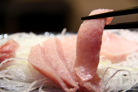 Tuna belly fat tuna party time