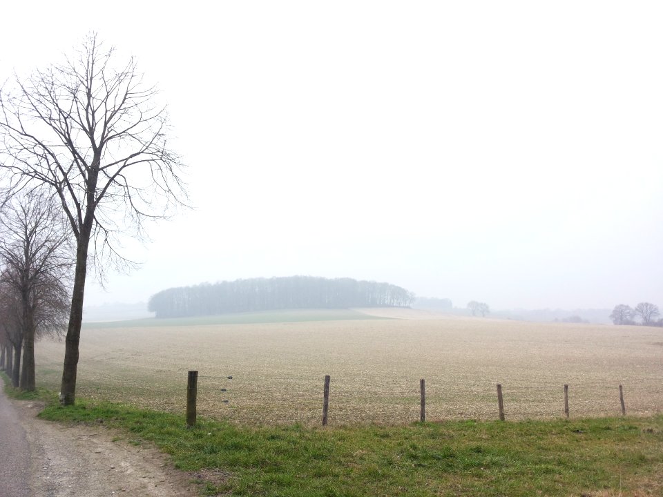 Ubachsberg-Vrouwenheide (16)