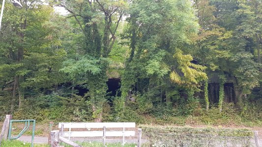 Ubachsberg-Kalkovens Kurvers (16)