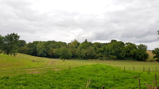 Ubachsberg-Kalkovens Kurvers (19)