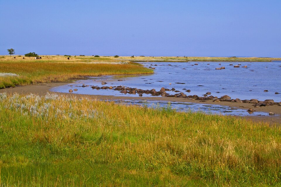 Fyns hoved baltic sea danish baltic photo