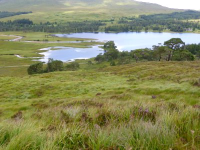 Tyndrum-Bridge-of-Orchy-20
