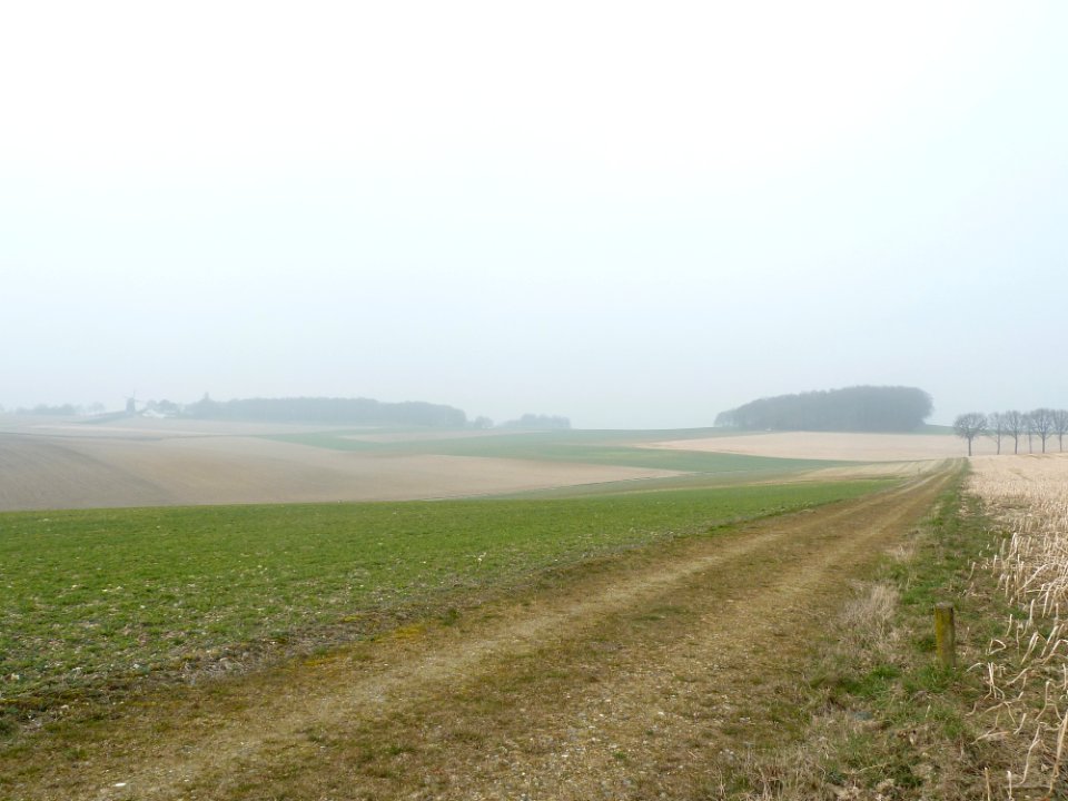 Ubachsberg-Vrouwenheide (21)