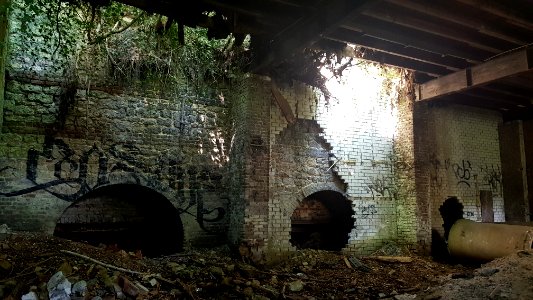 Ubachsberg-Kalkovens Kurvers (7)
