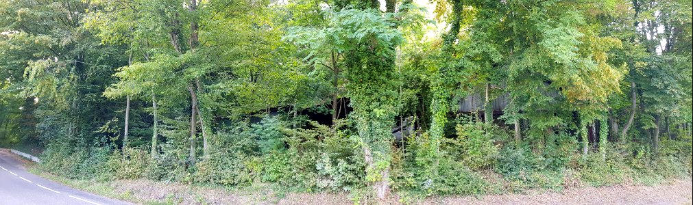 Ubachsberg-Kalkovens Kurvers (22)