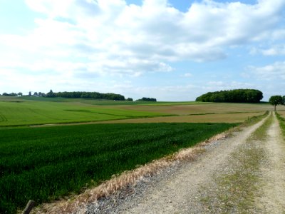 Ubachsberg-Vrouwenheide