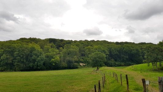 Ubachsberg-Kalkovens Daelsweg oostzijde (7)