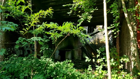 Ubachsberg-Kalkovens Kurvers (11)