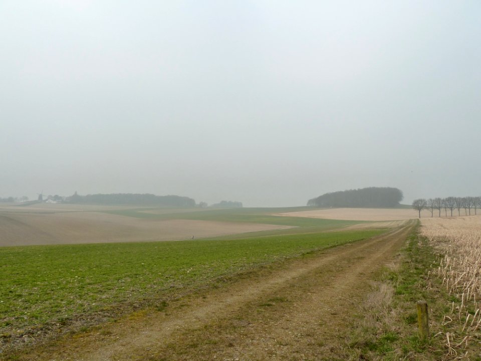 Ubachsberg-Vrouwenheide (20)