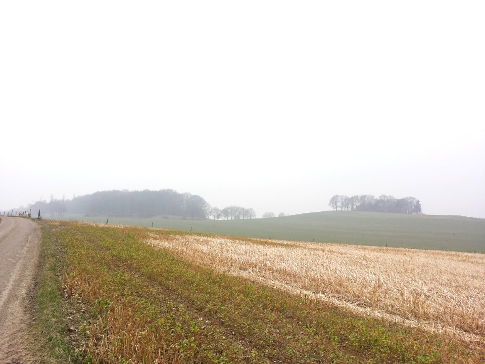 Ubachsberg-Vrouwenheide (15)