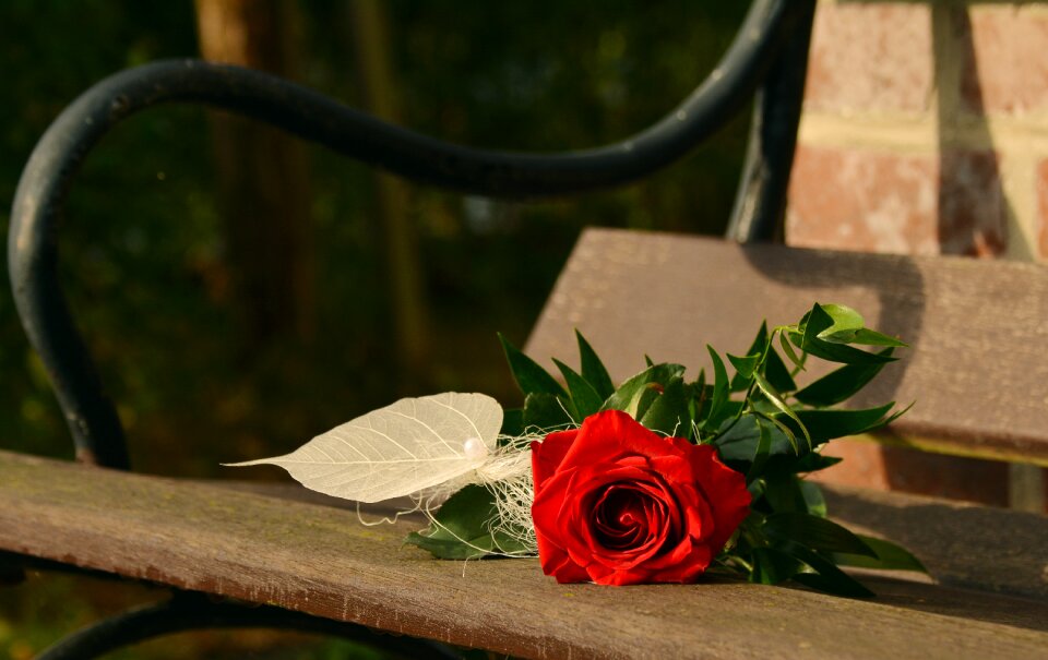 Valentine's day mother's day congratulate