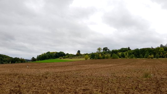 Ubachsberg-Kalkoven Dalberg (7)