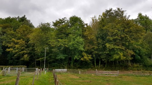 Ubachsberg-Kalkovens Kurvers (17)