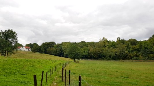 Ubachsberg-Kalkovens Kurvers (20)