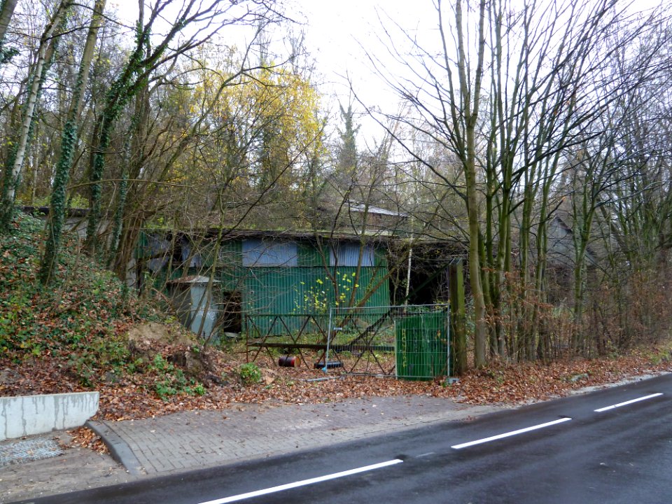 Ubachsberg-Kalkovens Kurvers (3)