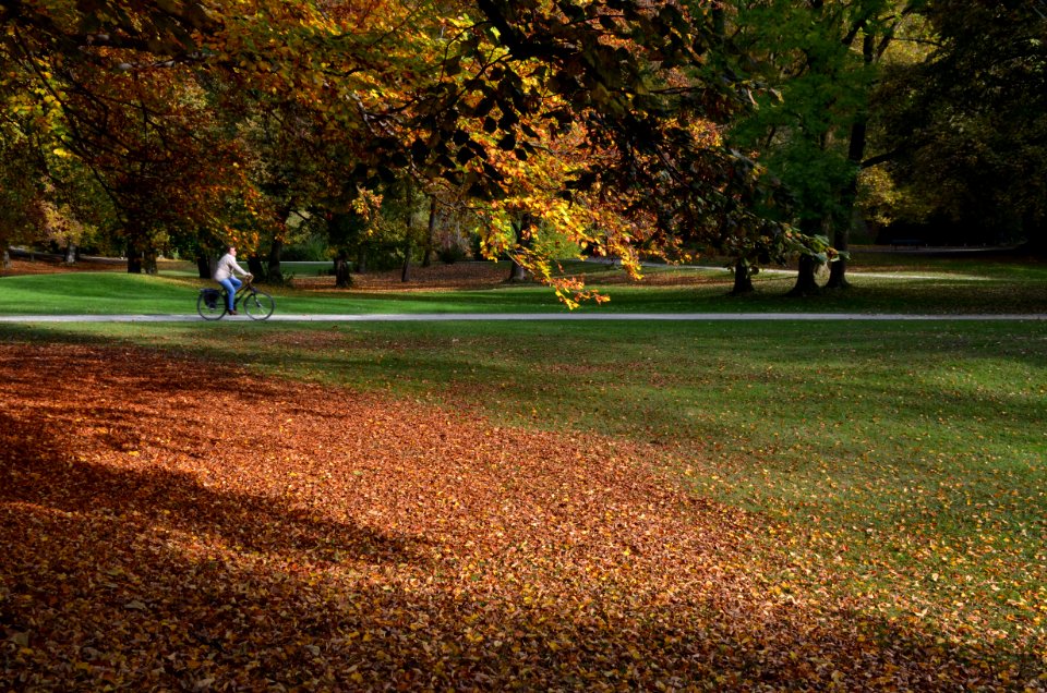 Munich Maximiliansanlagen Autumn 28102016 1
