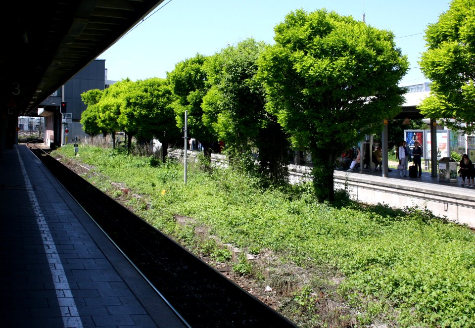 Munich S-Bahnsteig Donnersbergerbruecke