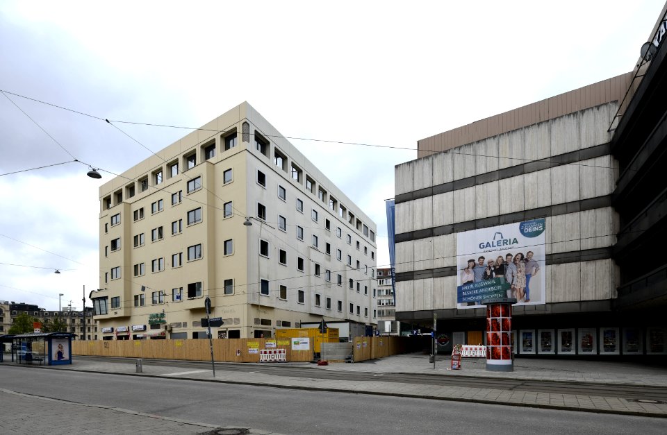 Mueprielmayerstachus042019c85