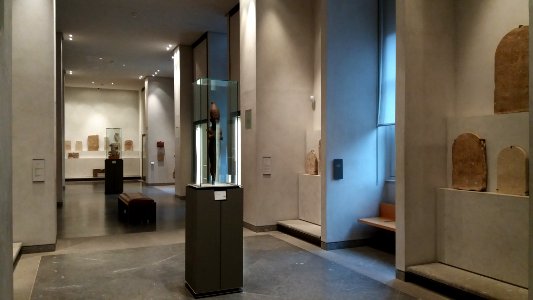 Musée des beaux-arts de Lyon - Antiquités - Salles 4 à 9