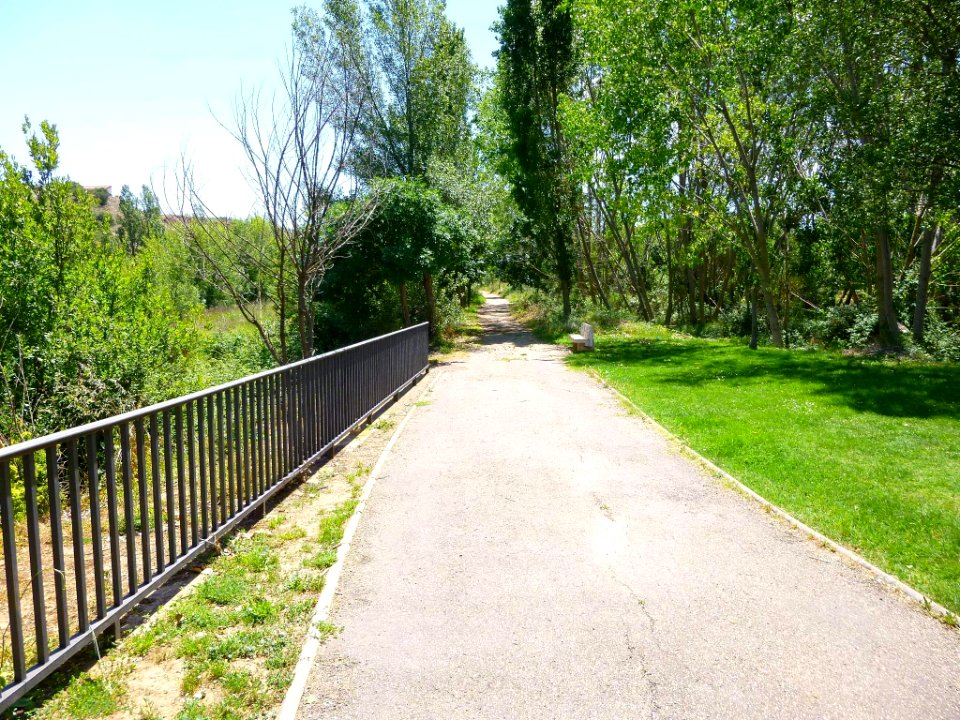 Murillo de Río Leza 16