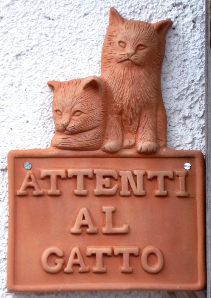 Murnau, Attenti al gatto, 1