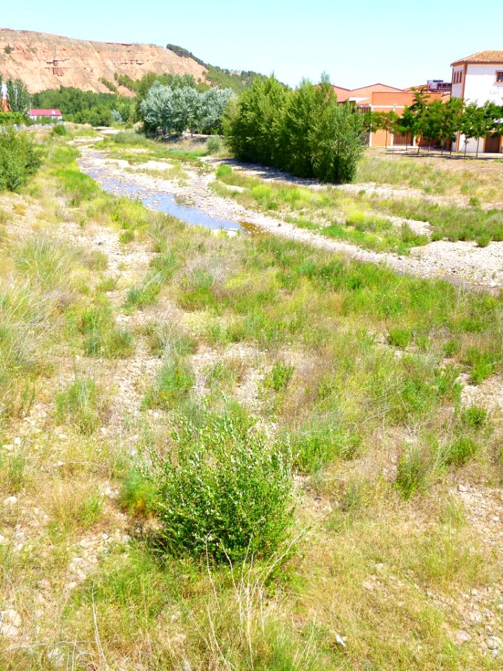 Murillo de Río Leza - río Jubera 2