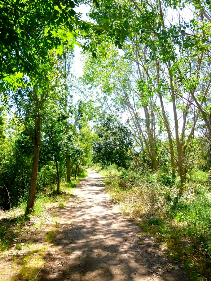 Murillo de Río Leza 25