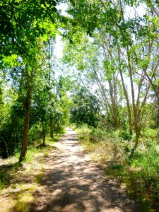 Murillo de Río Leza 25